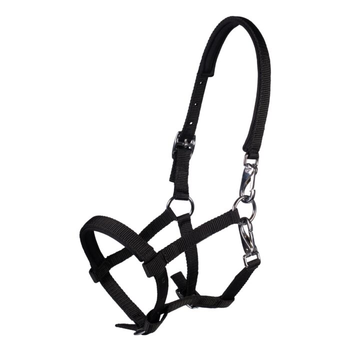 Foal head collar -Millie-