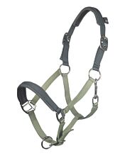 Head collar -Barnie-