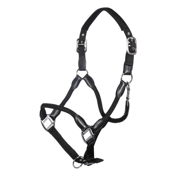 Head collar -Carlotta-