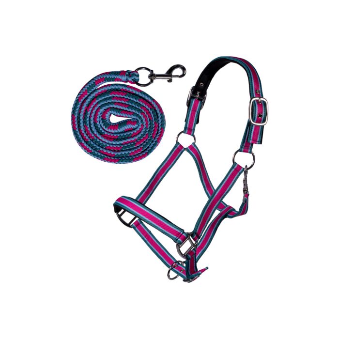 Head collar set with snap hook -Manchester-