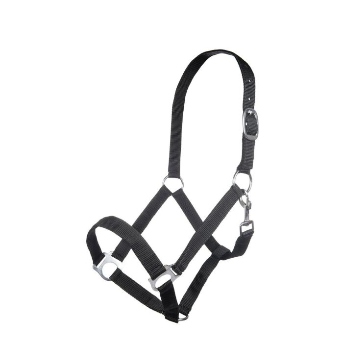 Head collar -Brisbane-