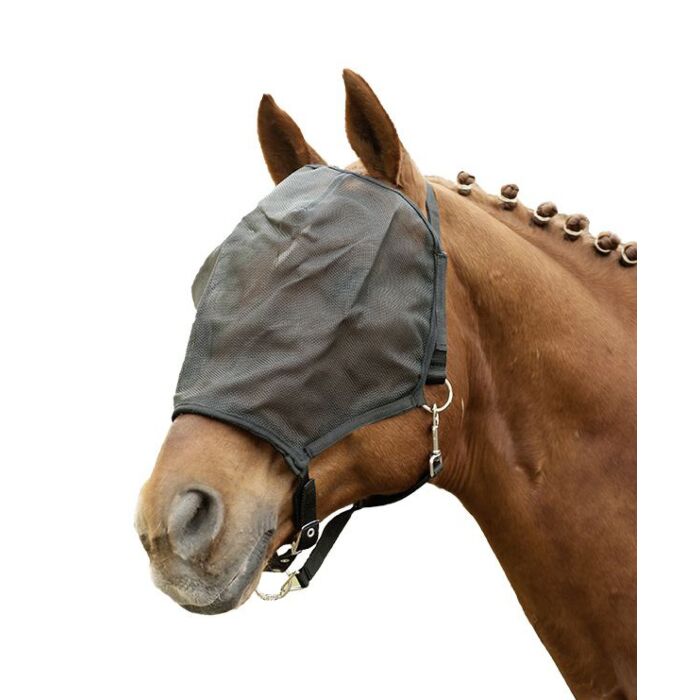 Fly shield halter
