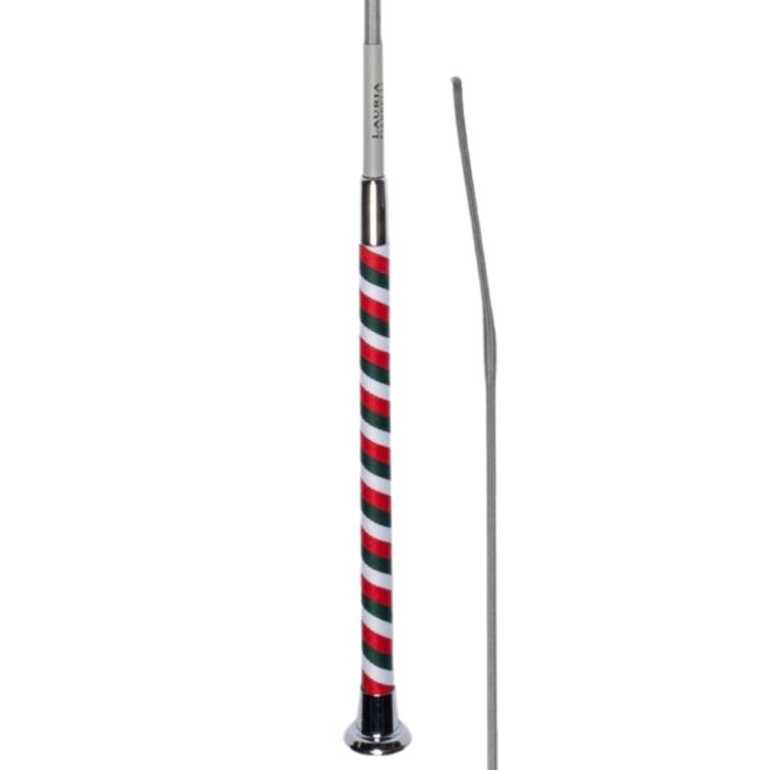 Whip -Livigno-