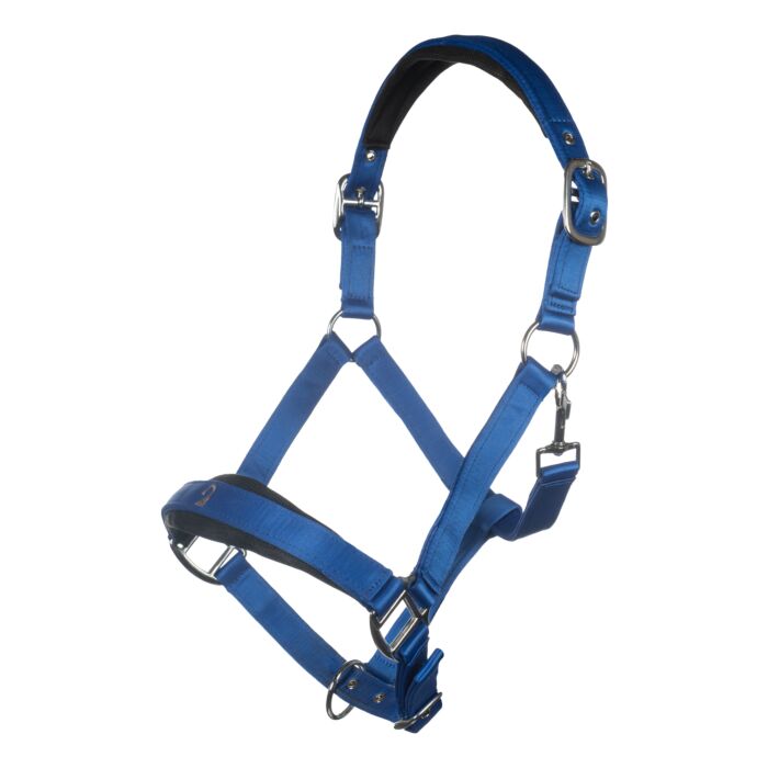 Head collar -Amalfi-