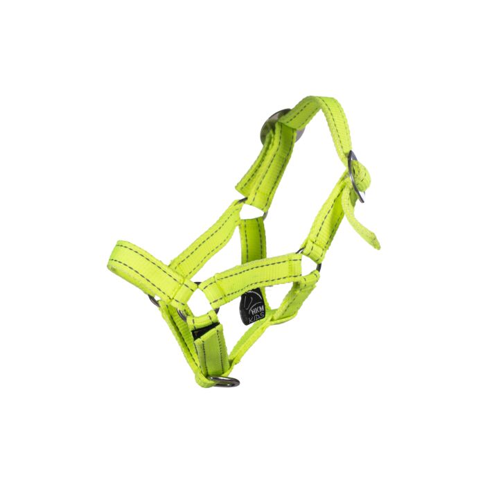 Head collar Reflective -Hobby Horsing-