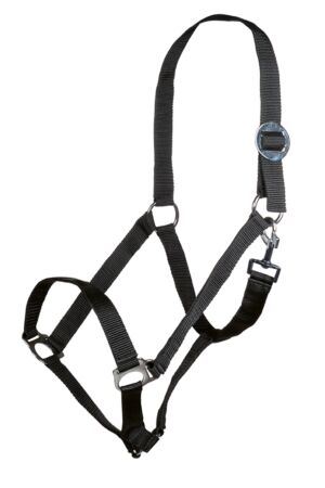 Head collar -Genf-